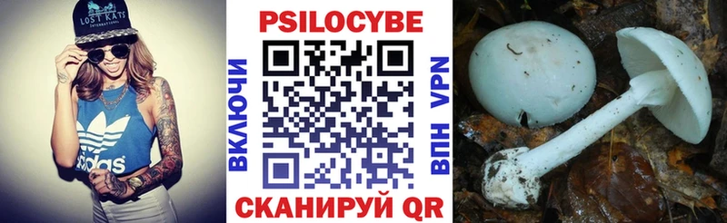 купить наркоту  Александровское  Галлюциногенные грибы Magic Shrooms 