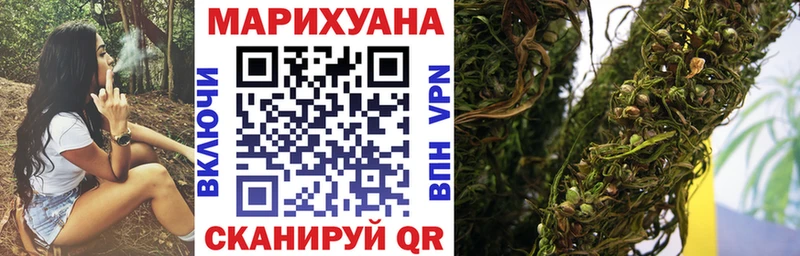 Каннабис план  Александровское 